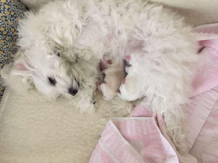 2018-03-20-PHOTO-00002154