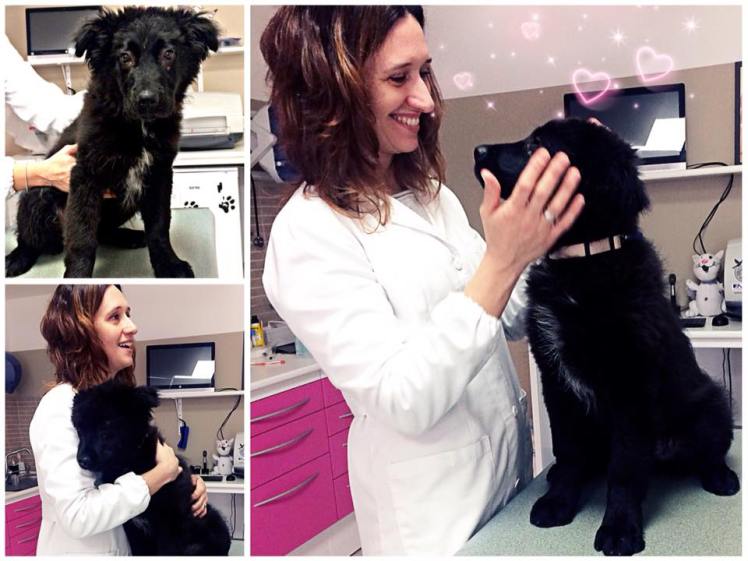 28167767_1620024344778972_8650923279446510969_n