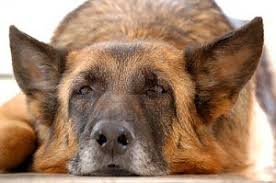 post tumori generale