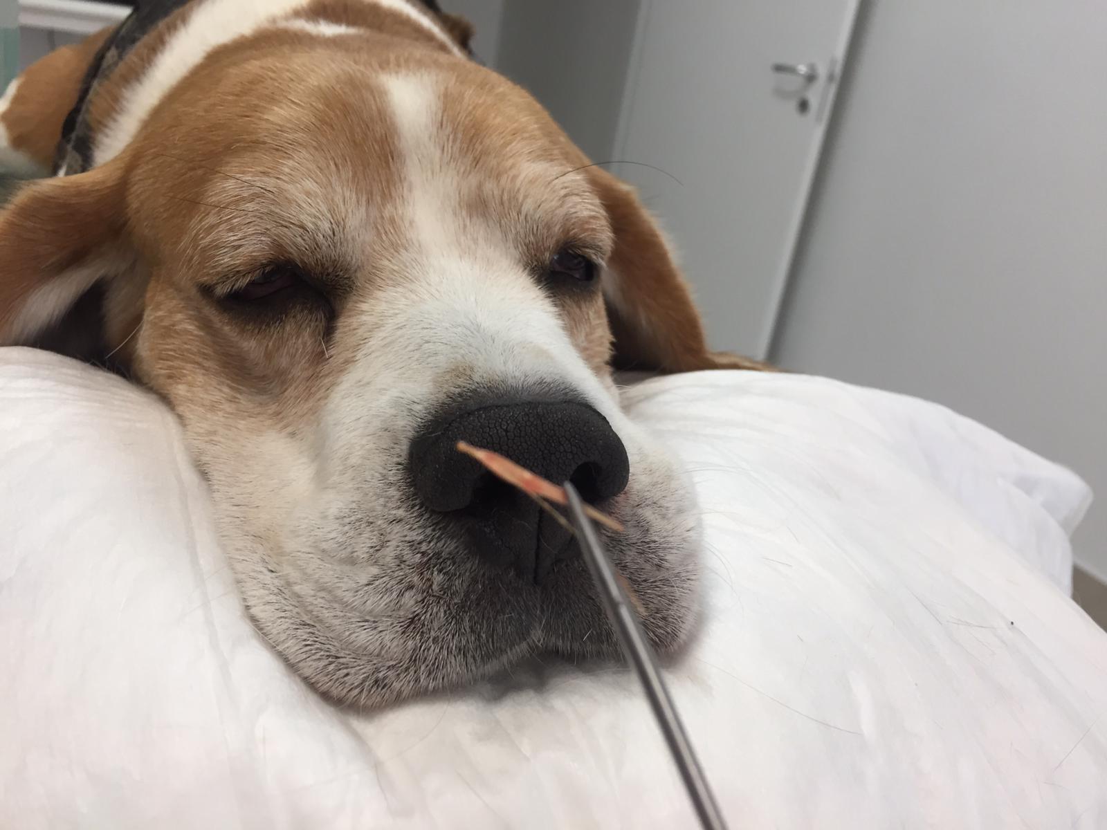 b7a15ef2-e74f-472e-8c24-53e36026ee2b