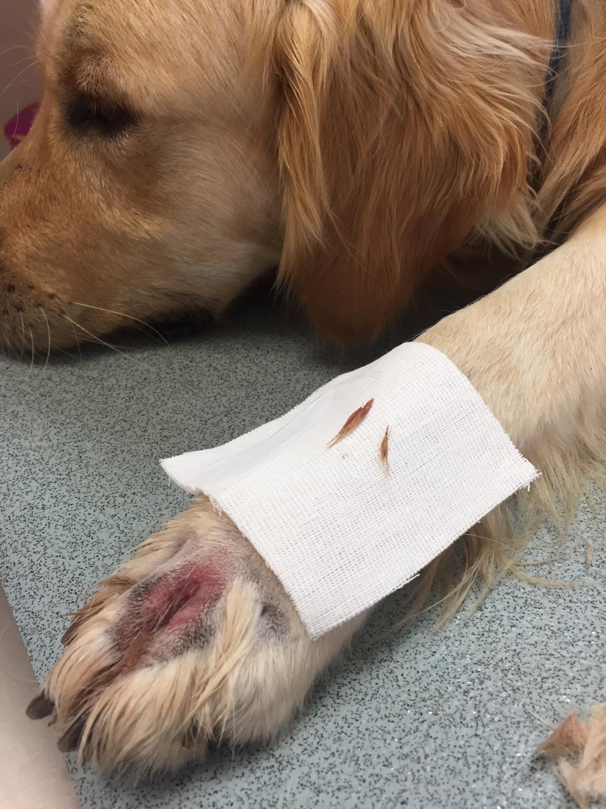 cab8c9e3-684c-4efb-b7b4-b50e1184c57f (1)