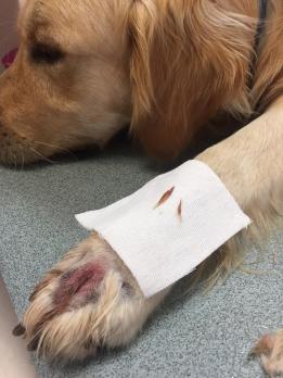 cab8c9e3-684c-4efb-b7b4-b50e1184c57f (1)