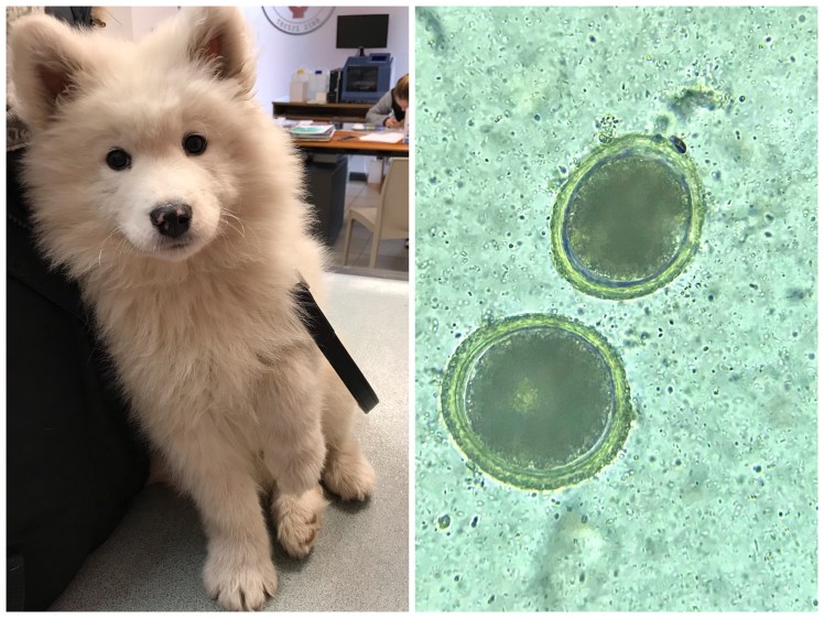 B4E98372-7C6D-4622-9952-7EBFCA0E5FD2